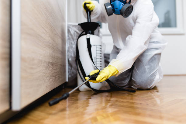 Best Pest Prevention Services  in Mount Carmel, PA
