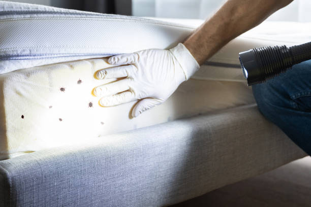 Best Best Pest Control Companies  in Mount Carmel, PA