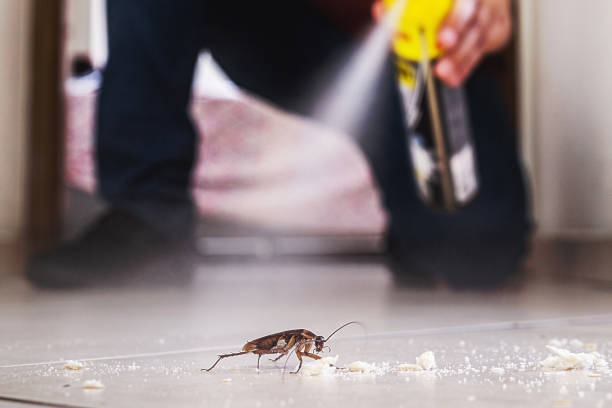 Pest Prevention Services in Mount Carmel, PA